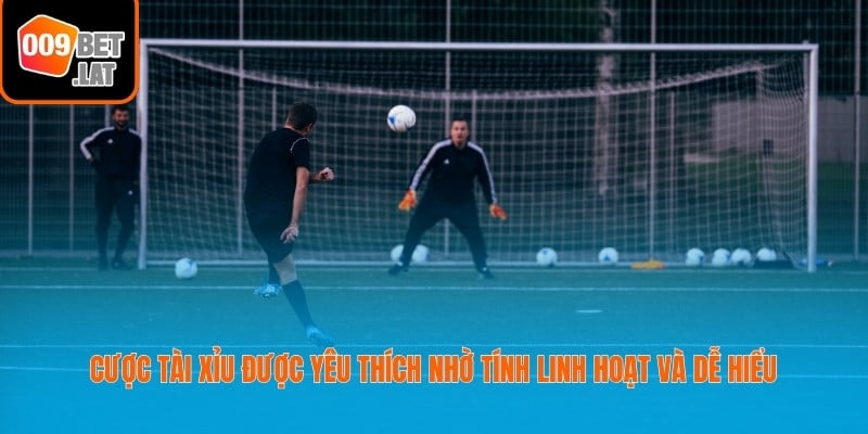 Cược tài xỉu được yêu thích nhờ tính linh hoạt và dễ hiểu